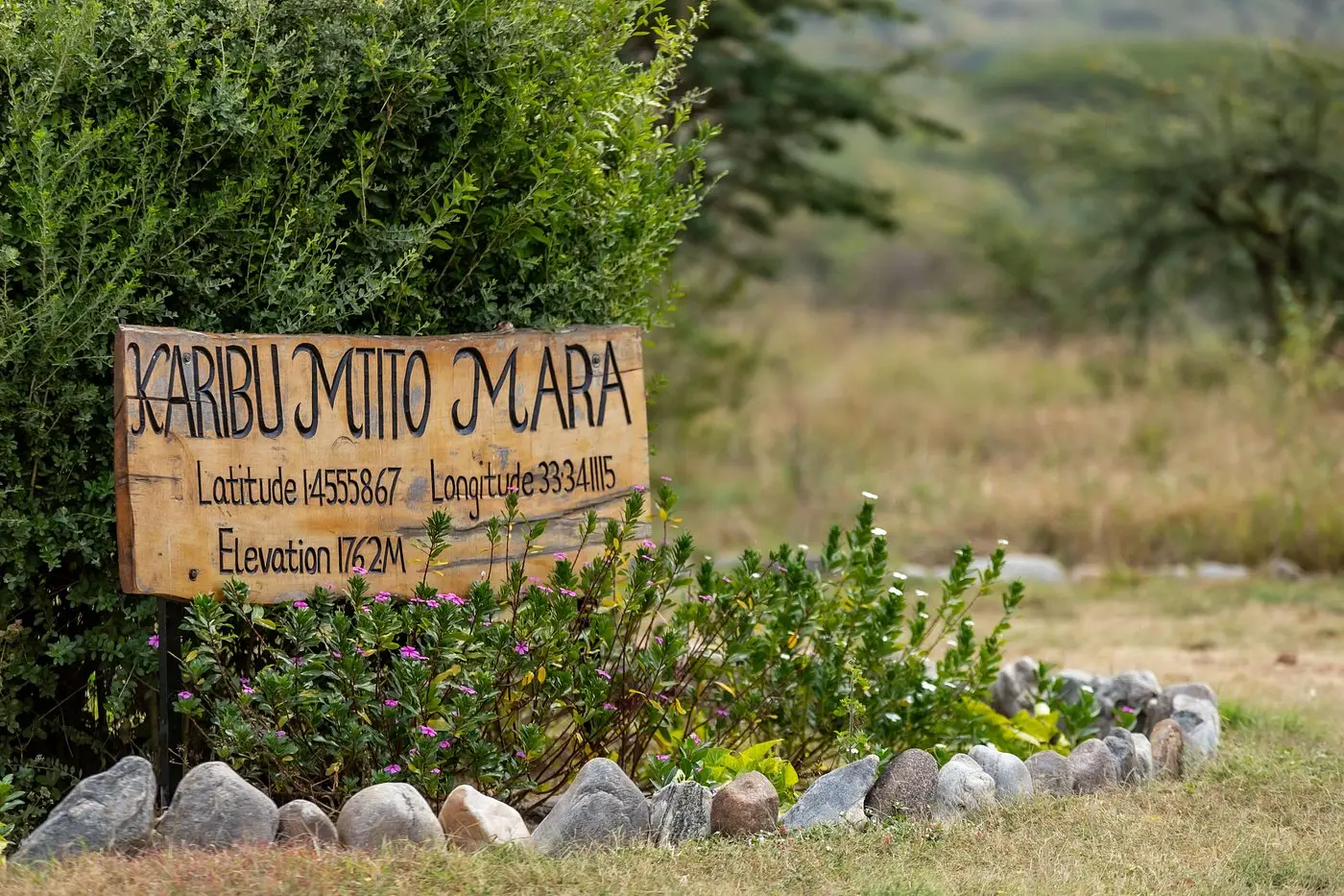 Mtito Safari Camp